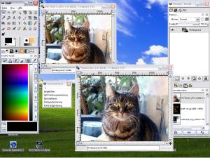 GIMP photo editor