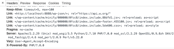 Headers visible in Chrome DevTools Network Panel